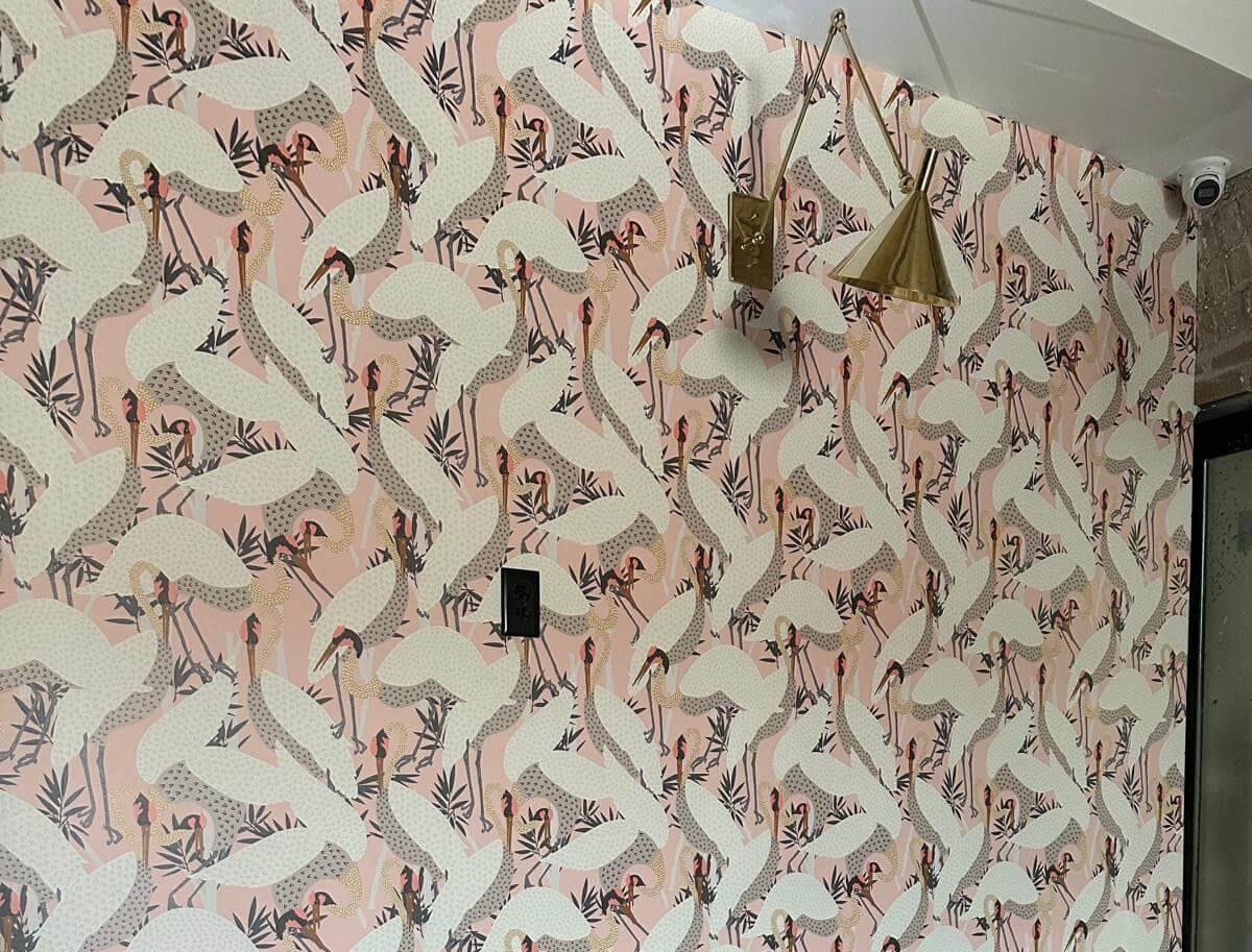 Wallpaper pattern of repeating pink and white birds on a pink background.